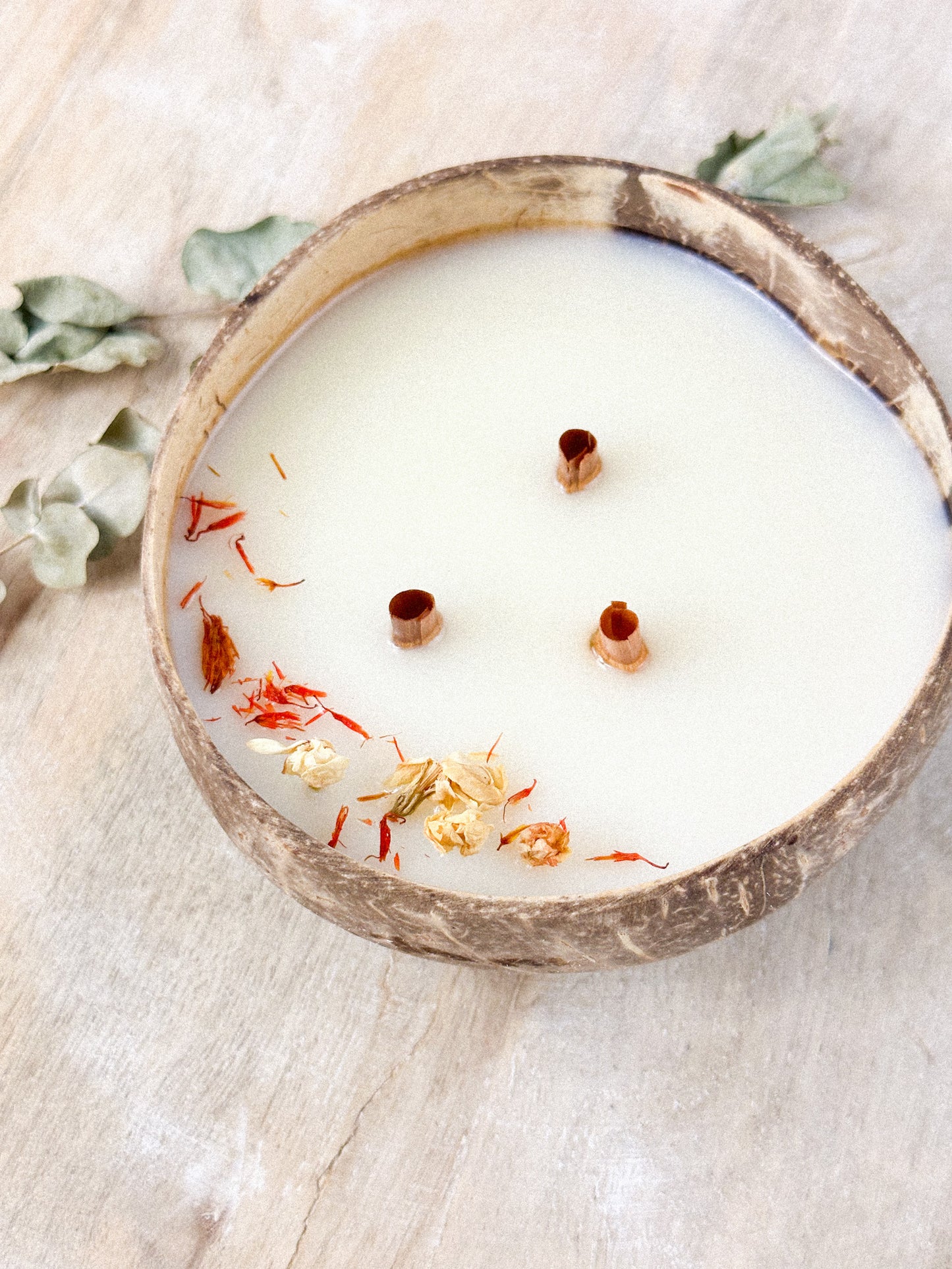 Coconut Bowl Pure (Kokosnuss Schalen Kerzen Pure)